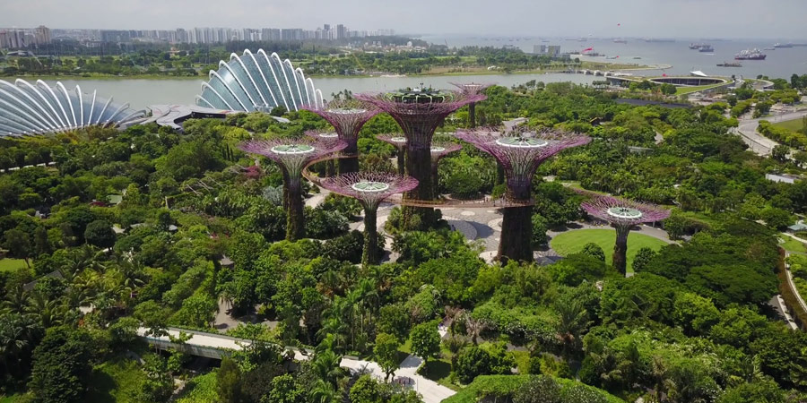 Gardens by the Bay Singapore