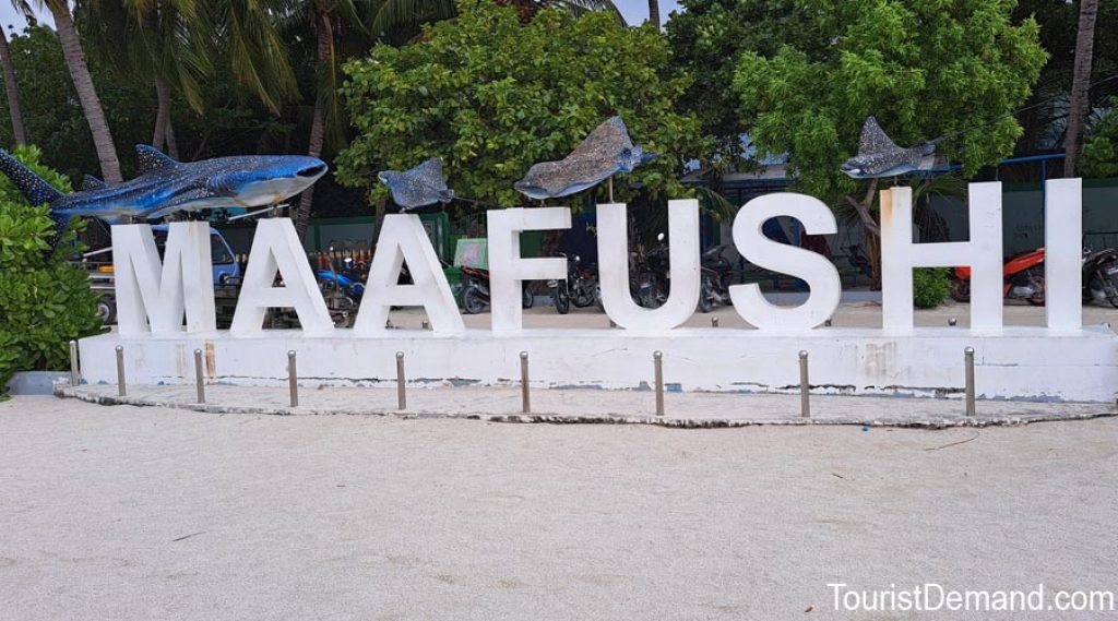 maafushi tours