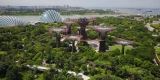 Gardens by the Bay, Singapore: A Futuristic Green Paradise